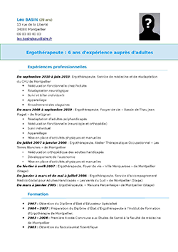 CV Ergoth&eacute;rapeute pdf