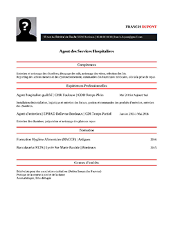 CV ASH pdf